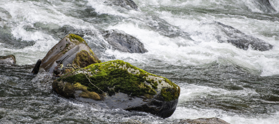 Historic agreement between Tacoma Water and Cascade Water Alliance provides benefits to water customers across the region