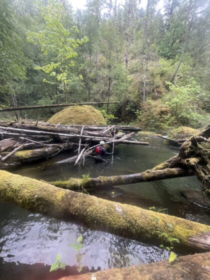 Meet Ben from Tacoma Power's Natural Resources team 1