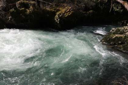 Tacoma Water celebrates Drinking Water Week May 5-11, 2024